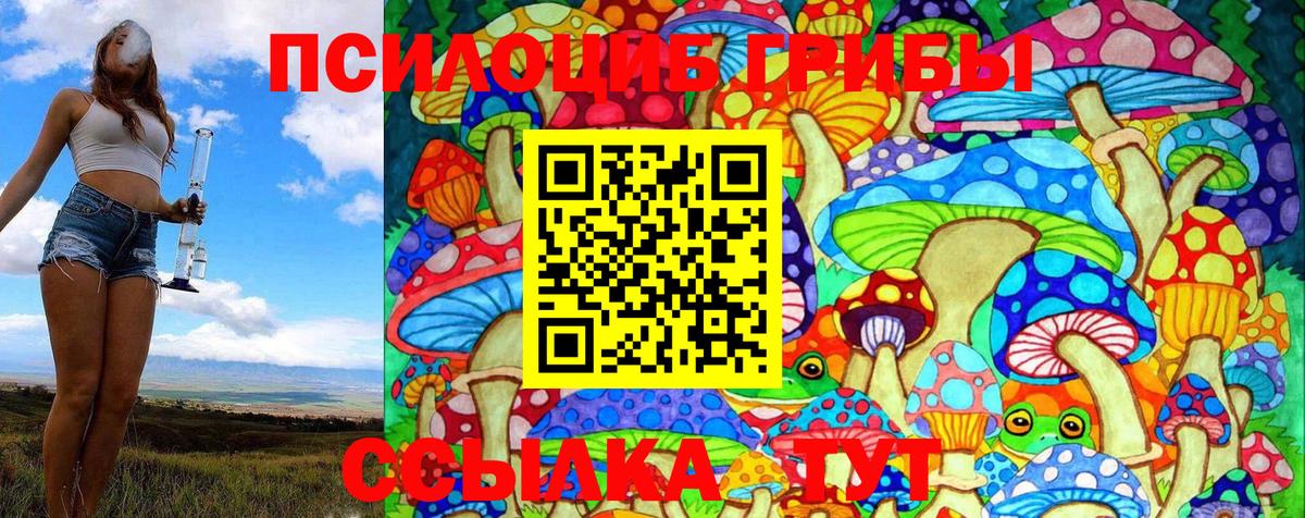 Воркута  наркотики  Вход с VPN  Псилоцибиновые грибы Psilocybe 