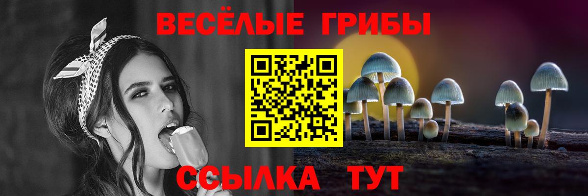 Псилоцибиновые грибы Cubensis Воркута